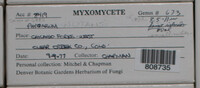 Image Associated With the Occurence